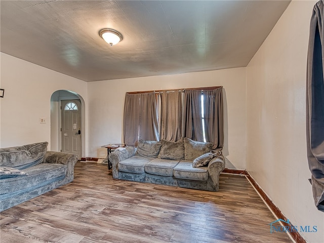 living room with wood-type flooring