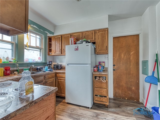 kitchen featuring hardwood / wood-style flooring and white refrigerator