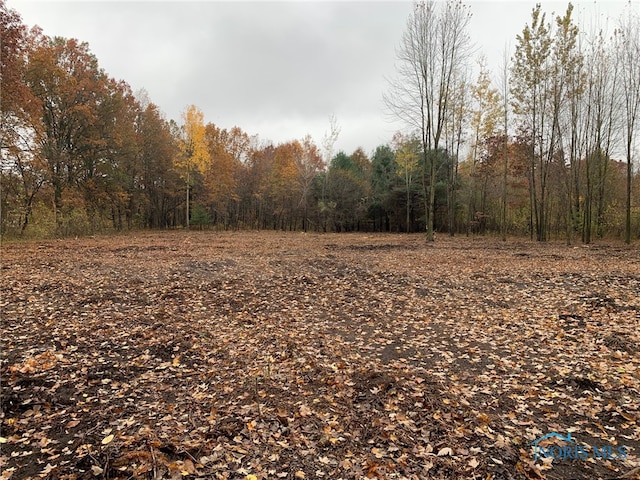 9915 Weckerly Rd, Monclova OH, 43542 land for sale