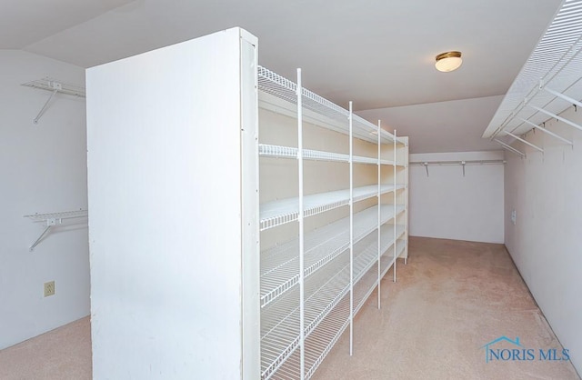 walk in closet with light colored carpet