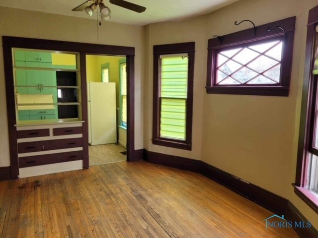 spare room with light hardwood / wood-style flooring and ceiling fan