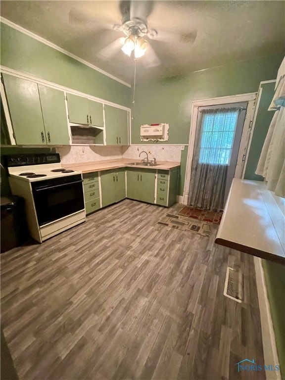 kitchen with ceiling fan, electric range oven, sink, green cabinets, and dark wood-type flooring