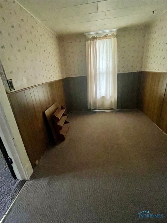 carpeted spare room with wood walls