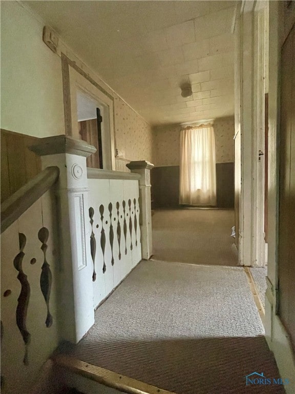 corridor with carpet floors