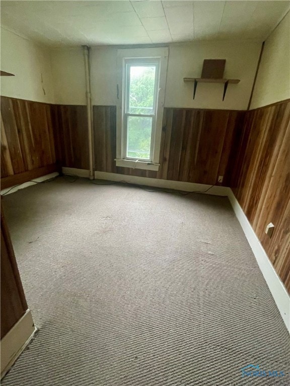 unfurnished room featuring carpet and wooden walls