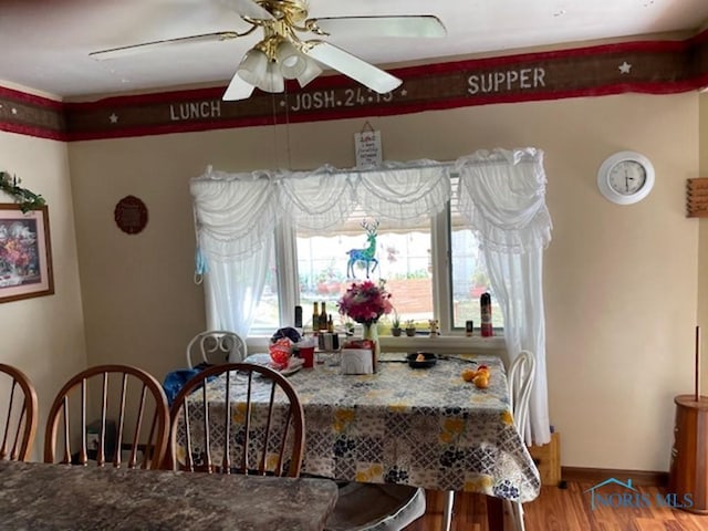 dining room featuring ceiling fan and wood-type flooring