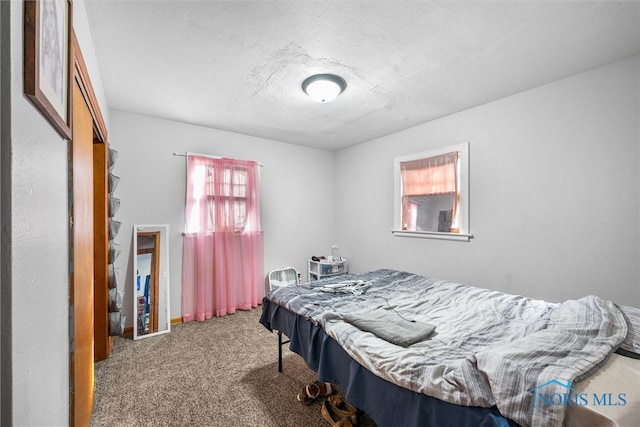 bedroom with carpet