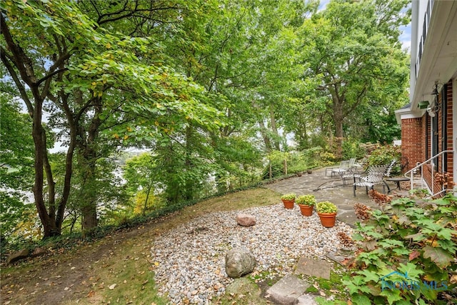 view of yard featuring a patio area