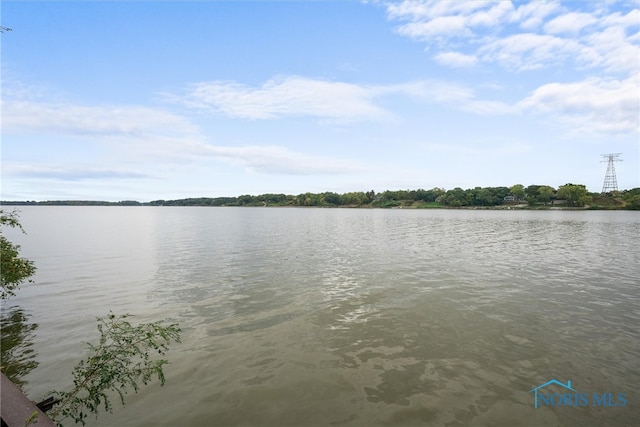 property view of water