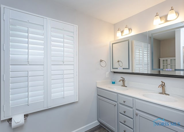 bathroom with vanity and hardwood / wood-style flooring