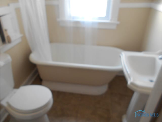 bathroom with toilet and a washtub