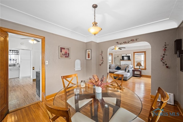 dining room with ceiling fan and wood-type flooring