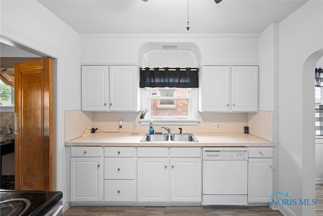 kitchen with white cabinets, dishwasher, and sink