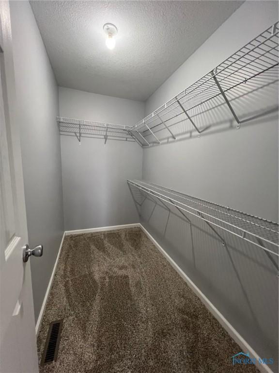 spacious closet with carpet