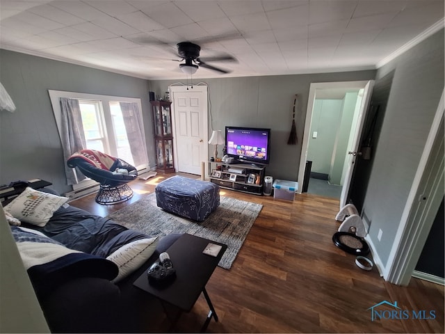 living room featuring ceiling fan, a baseboard radiator, dark hardwood / wood-style floors, and ornamental molding