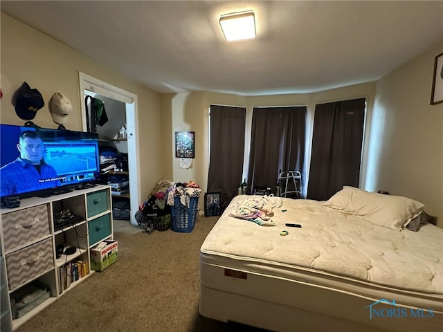 view of carpeted bedroom