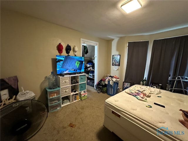 bedroom with carpet flooring