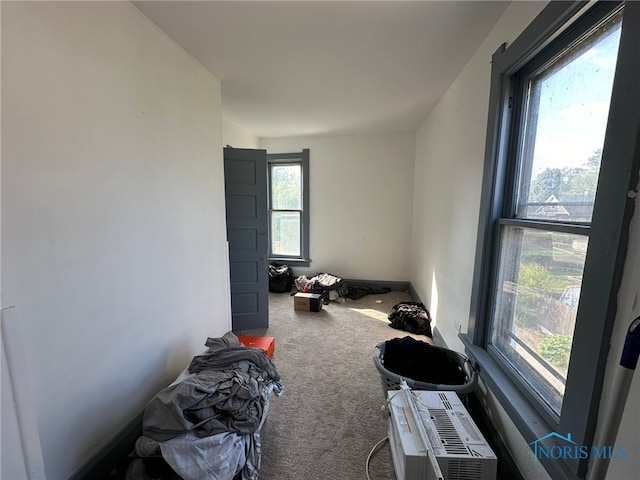 interior space with carpet and a healthy amount of sunlight