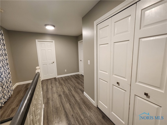 hall featuring dark wood-type flooring