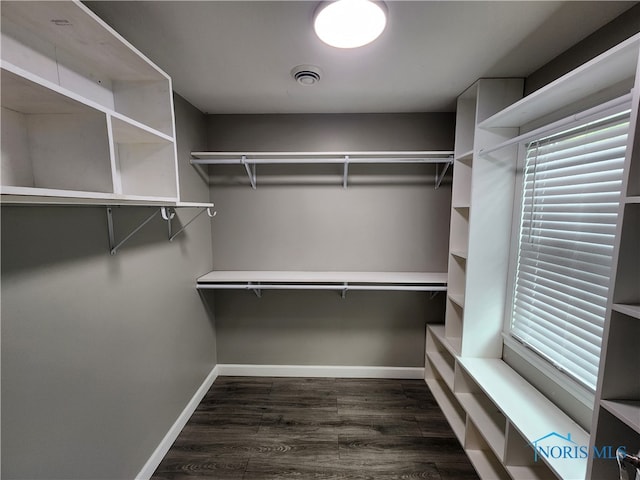 walk in closet with dark hardwood / wood-style floors