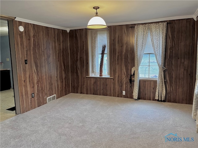 carpeted empty room featuring wooden walls and ornamental molding