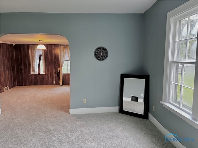 carpeted empty room with wood walls and a healthy amount of sunlight