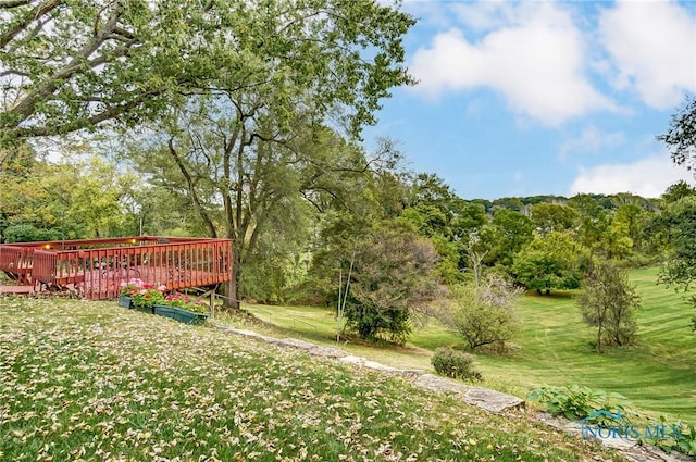 view of yard featuring a deck