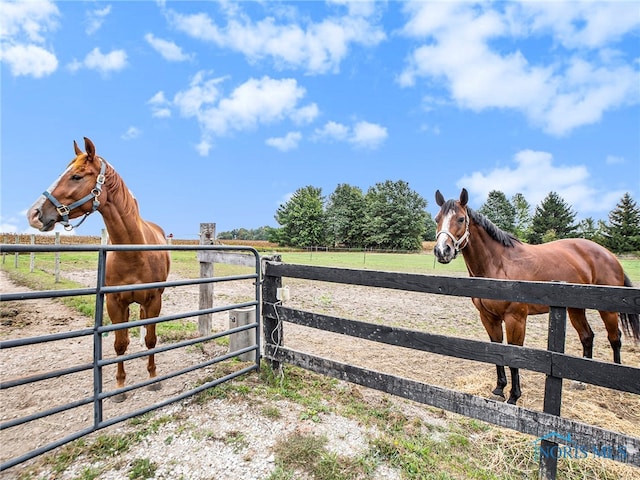 view of stable featuring a rural view