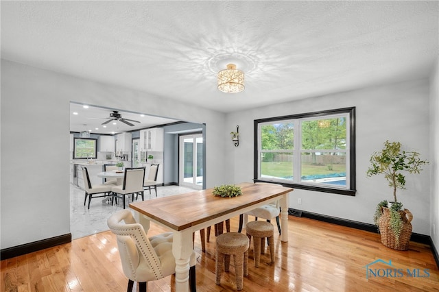 dining area with light hardwood / wood-style floors, ceiling fan, and a textured ceiling