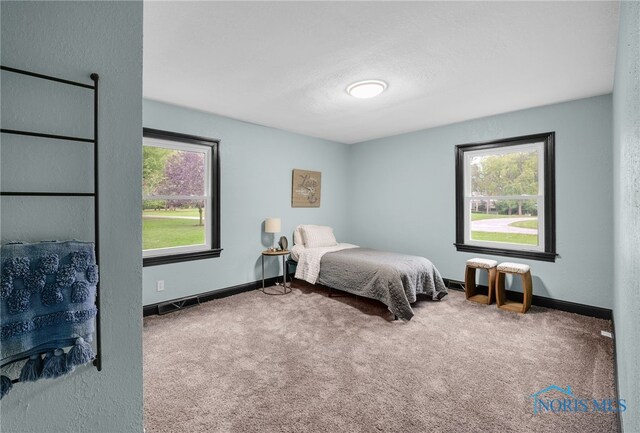 bedroom featuring carpet floors and multiple windows