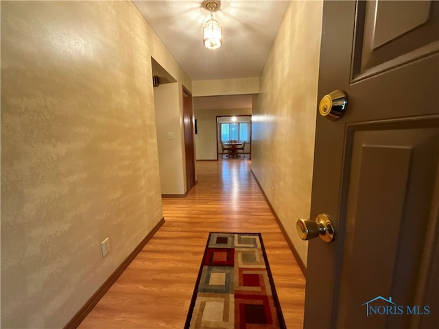 hall with light hardwood / wood-style flooring