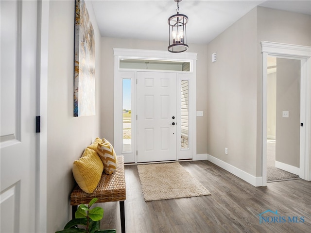 entrance foyer with wood-type flooring