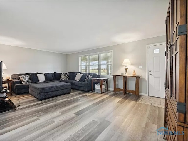 living room featuring light wood-type flooring