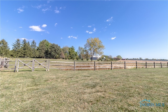 view of yard with a rural view