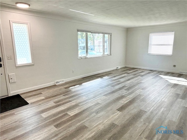 interior space featuring light wood-type flooring and plenty of natural light