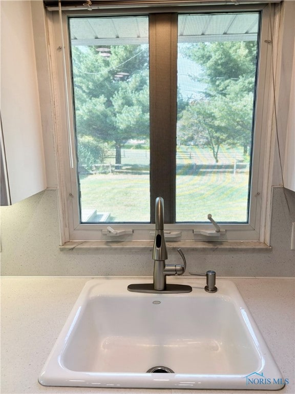 details featuring sink and white cabinetry