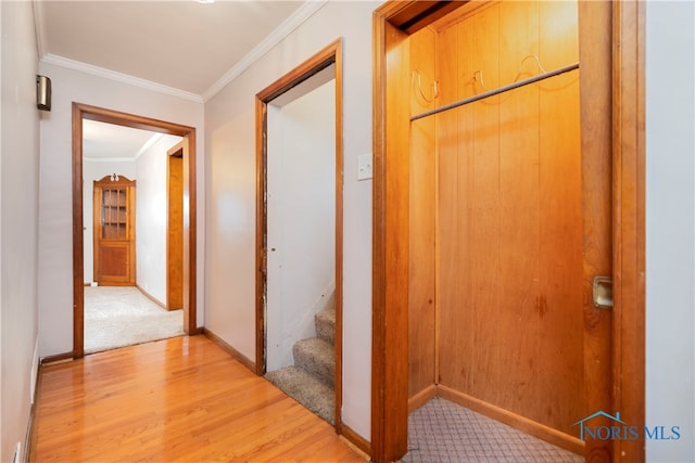 hallway featuring light hardwood / wood-style floors and ornamental molding