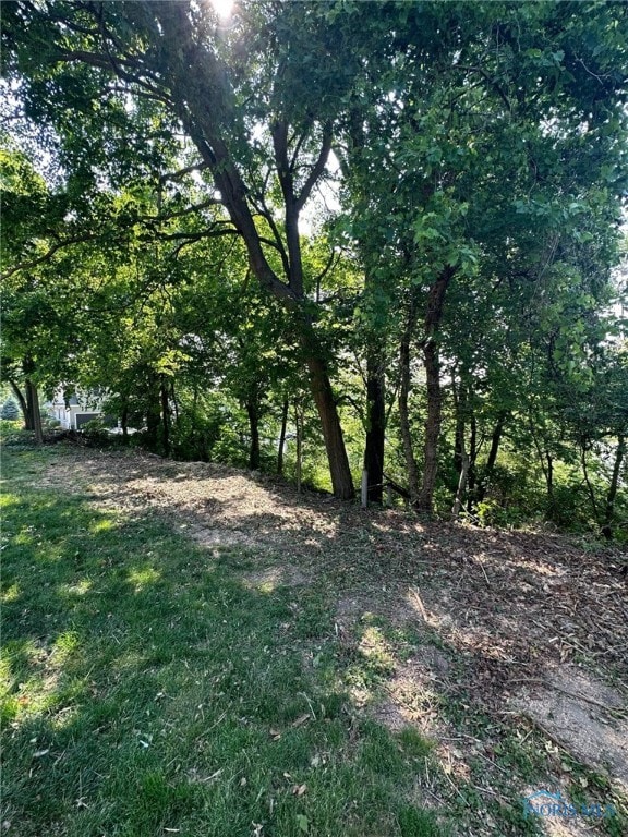 0 E River Rd, Perrysburg OH, 43551 land for sale