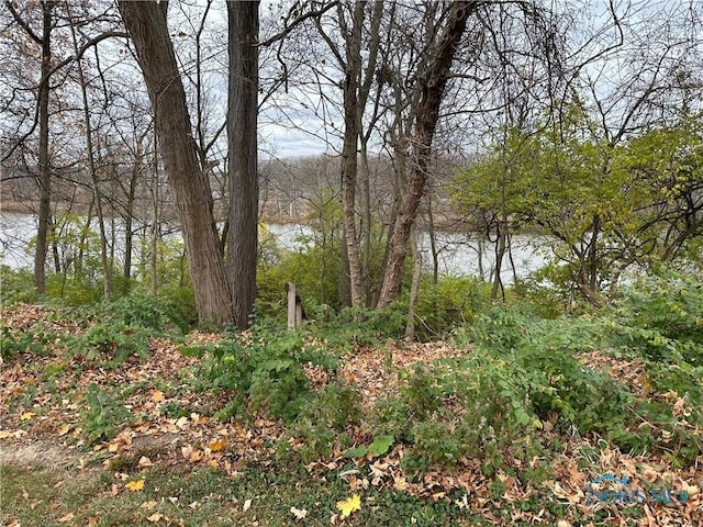0 E River Rd, Perrysburg, OH 43551 - photo 6