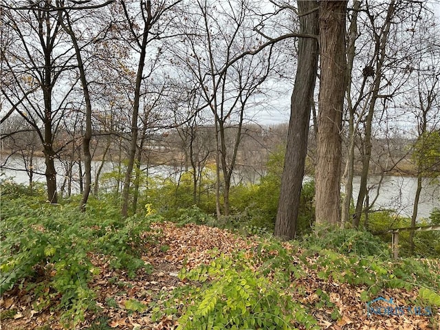0 E River Rd, Perrysburg, OH 43551 - photo 7