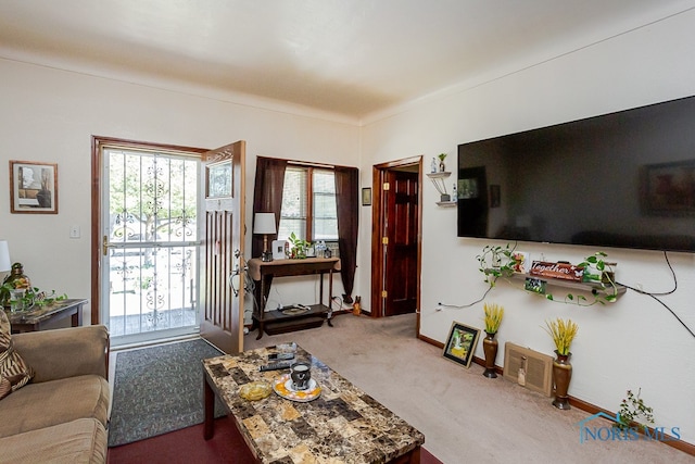 view of carpeted living room