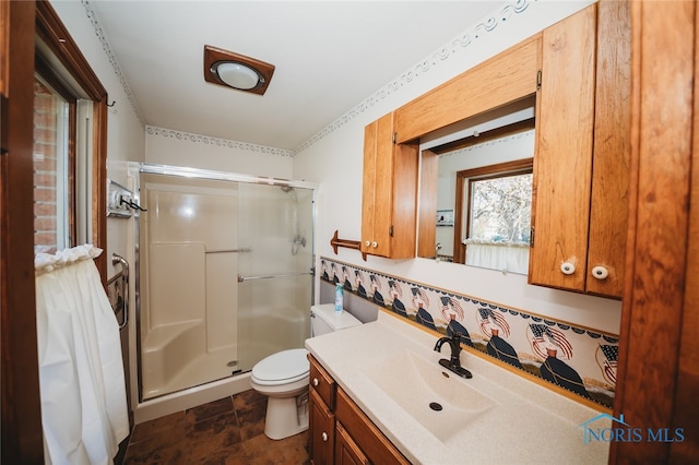 bathroom featuring walk in shower, vanity, and toilet