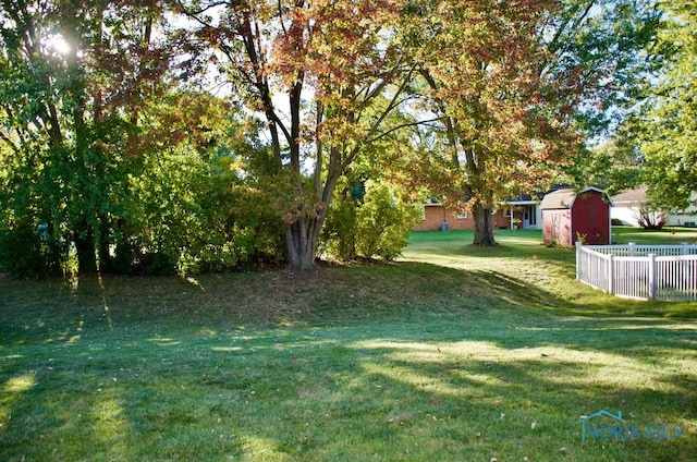 view of yard with a storage unit