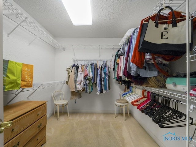 walk in closet featuring light carpet