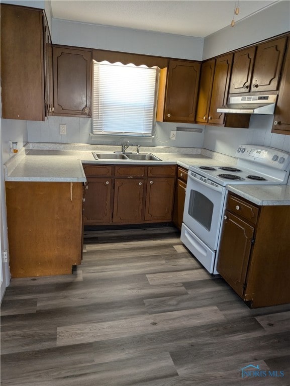 kitchen featuring dark hardwood / wood-style flooring, sink, and white electric stove