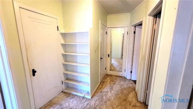 hall with light colored carpet and crown molding