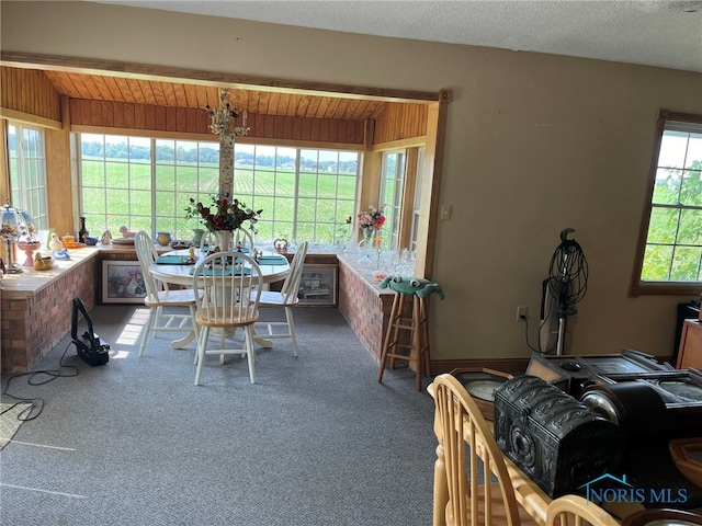 carpeted dining room with wood walls, a textured ceiling, and a healthy amount of sunlight