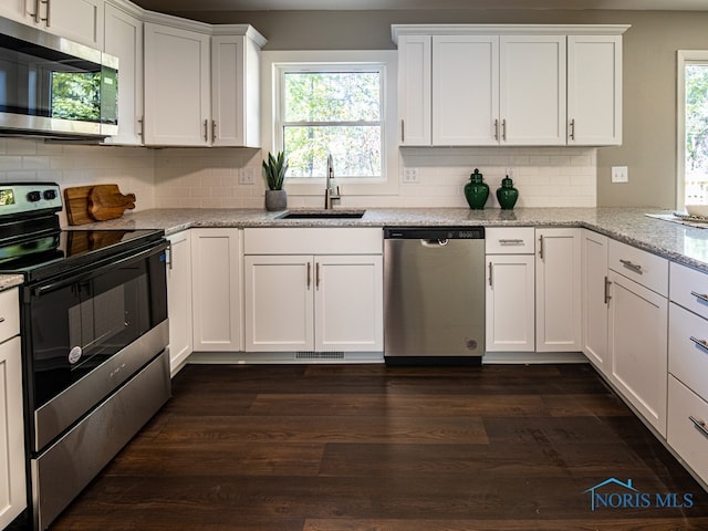 kitchen featuring stainless steel appliances, sink, dark hardwood / wood-style flooring, and a healthy amount of sunlight