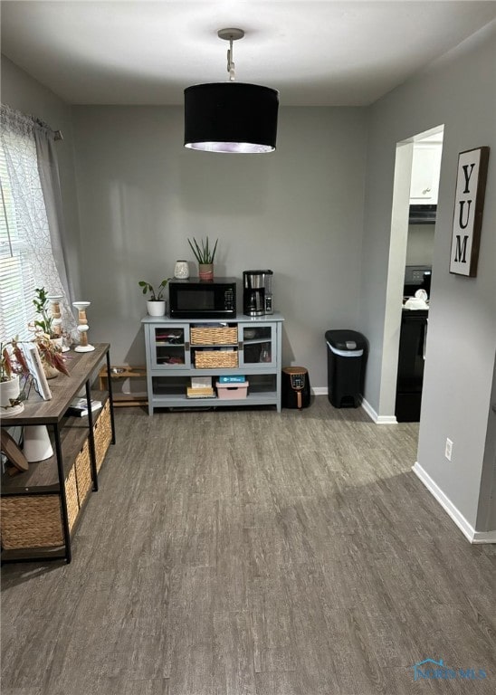 interior space with wood-type flooring