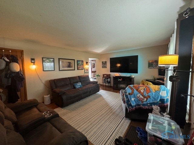 living room featuring hardwood / wood-style flooring and a textured ceiling